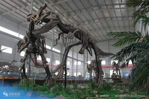 诸城恐龙国家地质公园